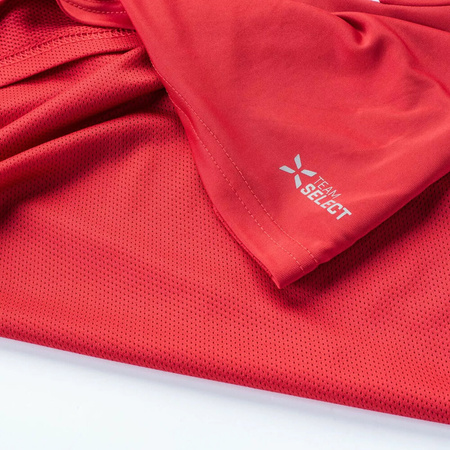 Męska koszulka z krótkim rękawem Huari Alumni Poland T-Shirt Senior rozmiar XXL