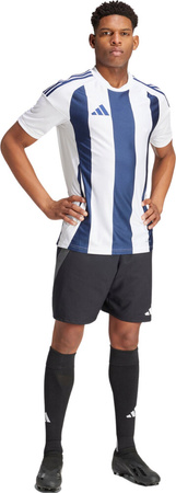 Koszulka męska adidas Striped 24 Jersey biało-niebieska IW4554