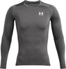 Koszulka męska Under Armour HG Armour Comp LS szara 1361524 025