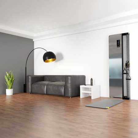 Brama przyścienna treningowa pneumatyczna commercial HMS bsp301