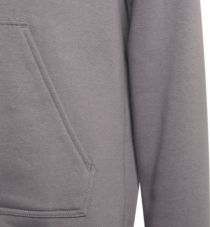 Bluza dla dzieci adidas Entrada 22 Hoody szara H57515
