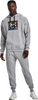 Bluza męska Under Armour UA Rival Flc Graphic Hoodie szara 1370349  011