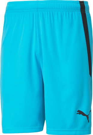 Spodenki męskie Puma teamLIGA błękitne 704924 40