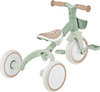 Rowerek Trójkołowy / Biegowy Learning Trike 3w1 Plus Ecologic (738-109)