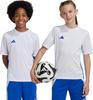 Koszulka dla dzieci adidas Tabela 23 Jersey biało-niebieska JJ1154