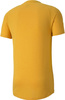Koszulka męska Puma Evostripe Lite Tee żółta 581534 25