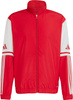 Bluza męska adidas Squadra 25 Presentation czerwona JD2969
