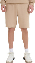 Spodenki męskie 4F CAS M571 beżowe 4FWSS25TSHOM571 83S