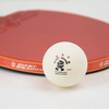 Piłeczki do ping ponga Giant Dragon ITTF *** ABS 40  63066 6 szt.