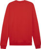 Bluza męska Puma Team Goal Casuals Crew Neck Sweat czerwona 658592 01