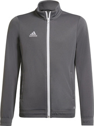 Bluza dla dzieci adidas Entrada 22 Track Jacket szara H57521