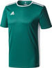Koszulka dla dzieci adidas Entrada 18 Jersey JUNIOR zielona CE9563