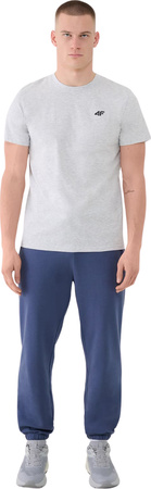 Spodnie męskie 4F CAS M1139 denim 4FWMM00TTROM1139 32S