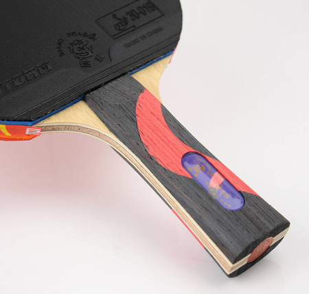 Rakietka do tenisa stołowego ping-ponga Giant Dragon 8★ N8081 2 piłeczki, pokrowiec