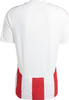 Koszulka męska adidas Striped 24 Jersey biało-czerwona IW2142