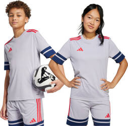 Koszulka dla dzieci adidas Squadra 25 szara JP3413