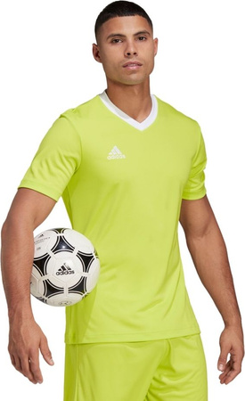 Koszulka męska adidas Entrada 22 Jersey limonkowa HC5077