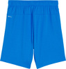 Spodenki dla dzieci Puma Team Goal niebieskie 705753 02