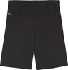 Spodenki męskie Puma Team Goal czarne 705752 03