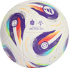 Piłka nożna adidas Ekstraklasa Pro kolorowa JY1297