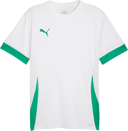 Koszulka męska Puma teamGoal Matchday Jersey biało-zielona 705747 15