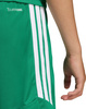 Spodenki dla dzieci adidas Tiro 26 League zielone KA8812