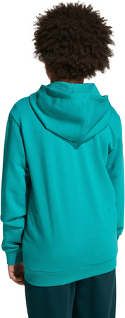 Dres dla dzieci adidas Essentials zielony JN2427