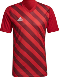 Koszulka męska adidas Entrada 22 Graphic Jersey czerwono-bordowa HB0572