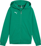 Bluza dla dzieci Puma teamGoal Casuals Hooded zielona 658596 05