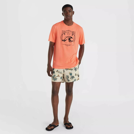 Męskie szorty O'neill MIX