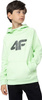 Bluza dla chłopca 4F zielona 4FJSS23TSWSM220 42S