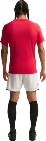 Koszulka męska Nike Dri-Fit Park VIII czerwona HV8173 657