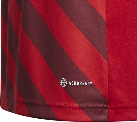 Koszulka dla dzieci adidas Entrada 22 Graphic Jersey czerwona H58983