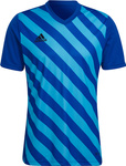 Koszulka męska adidas Entrada 22 Graphic Jersey niebiesko-błękitna HF0116