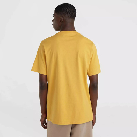 Męska koszulka z krótkim rękawem O'neill FUTURE SURF SOCIETY T-SHIRT golden haze rozmiar L