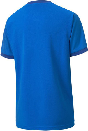 Koszulka dla dzieci Puma teamGOAL 23 Jersey niebieska 704160 02