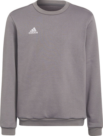 Bluza dla dzieci adidas Entrada 22 Sweat Top szara H57477