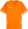 Koszulka męska Puma teamGoal Matchday Jersey pomarańczowa 705747 08