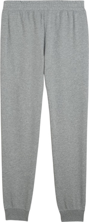 Spodnie męskie Puma ESS no.1 Logo Sweatpants FL szare 682606 03