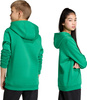 Bluza dla dzieci adidas Entrada 26 Hoody zielona JZ6563