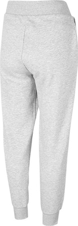 Spodnie damskie 4F szare H4Z22 SPDD351 27M