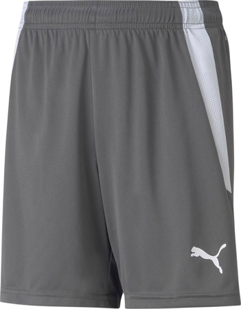 Spodenki dla dzieci Puma teamLIGA Shorts Jr Smoked szare 704931 13