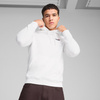 Bluza męska Puma Ess 2 Color Small No.1 Logo Hoodie TR biała 684719 02