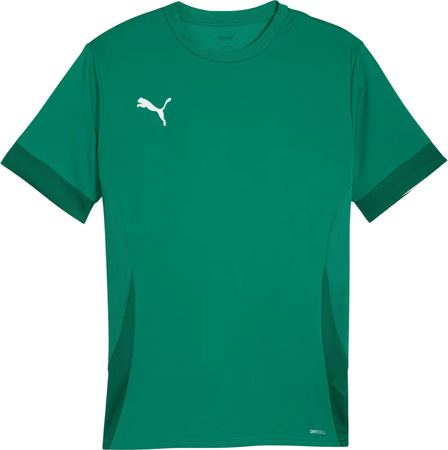 Koszulka męska Puma teamGoal Matchday Jersey zielona 705747 05