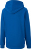 Bluza dla dzieci Puma teamGOAL 23 Casuals Hoody Jr niebieska 656711 02