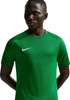 Koszulka męska NIke Dri-Fit Park VIII zielona HV8173 302