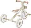 Rowerek Trójkołowy/biegowy Learning Trike 2w1 Plus Ecologic (737-466)
