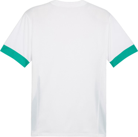 Koszulka męska Puma teamGoal Matchday Jersey biało-zielona 705747 15