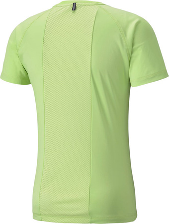 Koszulka męska Puma Rtg Tee Sharp zielona 581504 34