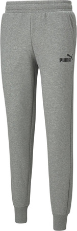 Spodnie męskie Puma ESS Logo Pants FL jasnoszare 586714 03